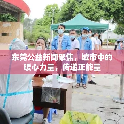 东莞公益新闻聚焦,城市中的暖心力量,传递正能量