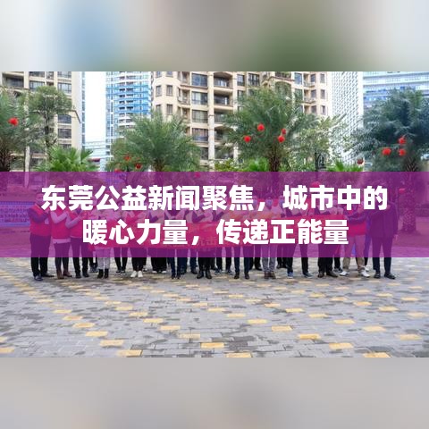 东莞公益新闻聚焦,城市中的暖心力量,传递正能量