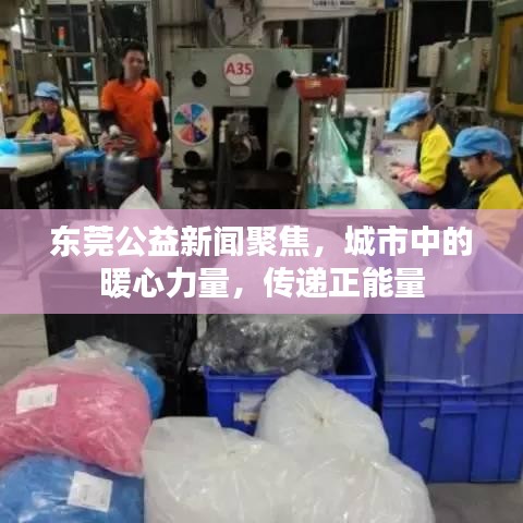 东莞公益新闻聚焦,城市中的暖心力量,传递正能量