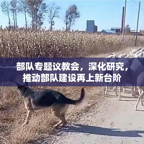 学贵有疑 第3页