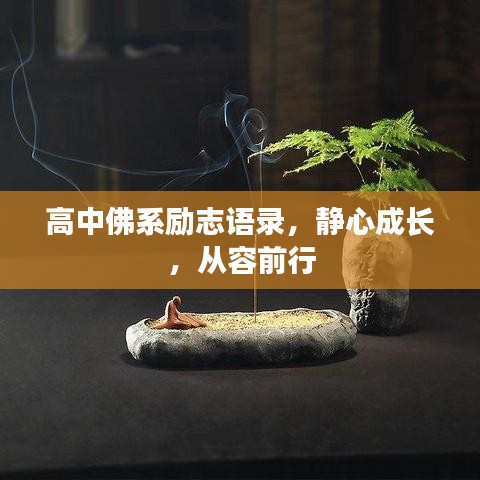 高中佛系励志语录,静心成长,从容前行