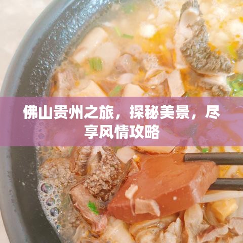 佛山贵州之旅,探秘美景,尽享风情攻略