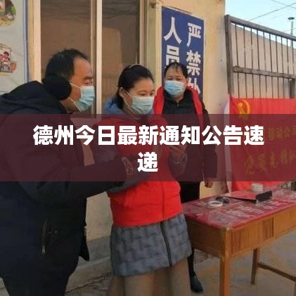 德州今日最新通知公告速递