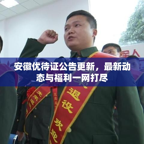 安徽优待证公告更新,最新动态与福利一网打尽