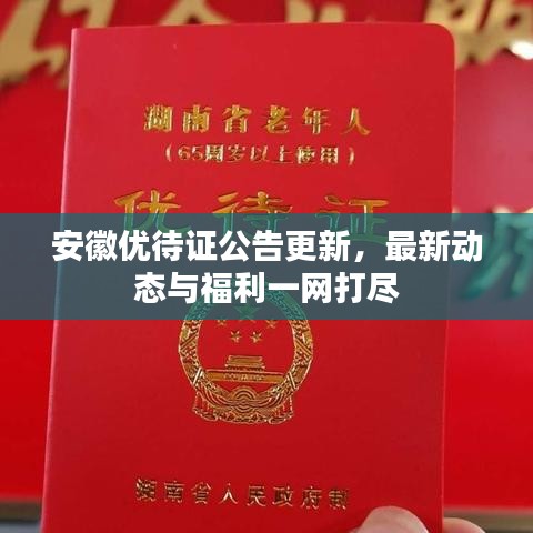 安徽优待证公告更新,最新动态与福利一网打尽