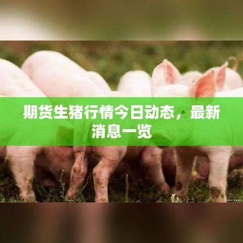 期货生猪行情今日动态,最新消息一览