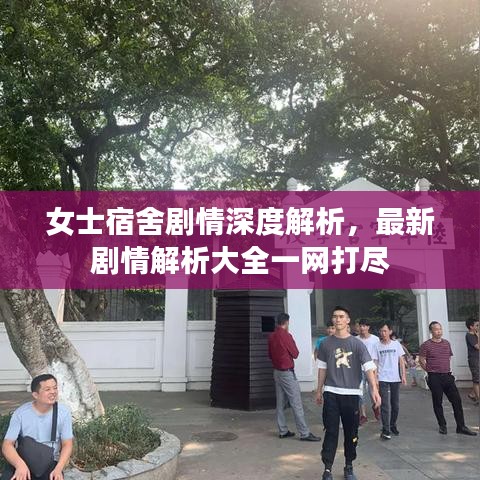 女士宿舍剧情深度解析,最新剧情解析大全一网打尽