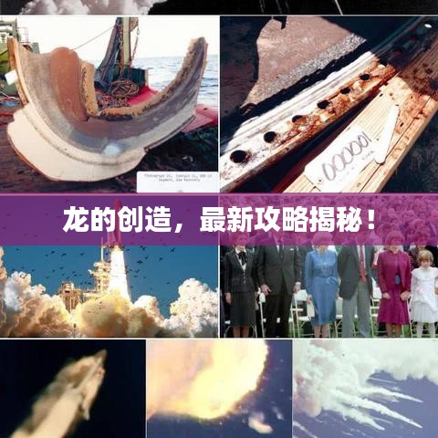 龙的创造,最新攻略揭秘!