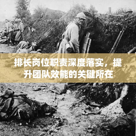 排长岗位职责深度落实,提升团队效能的关键所在