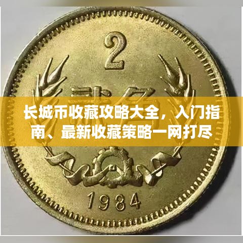长城币收藏攻略大全,入门指南、最新收藏策略一网打尽
