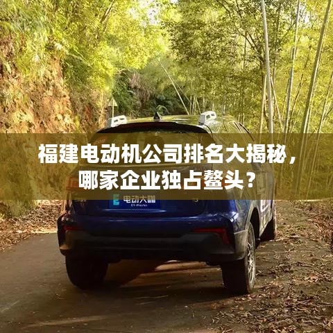 福建电动机公司排名大揭秘,哪家企业独占鳌头?