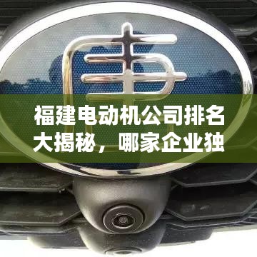 福建电动机公司排名大揭秘,哪家企业独占鳌头?