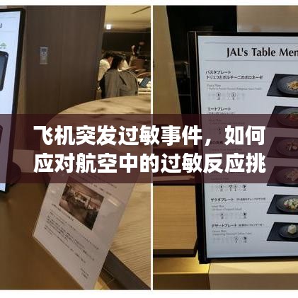 飞机突发过敏事件,如何应对航空中的过敏反应挑战