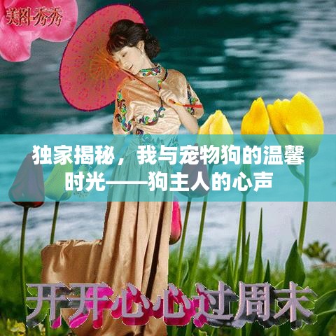独家揭秘，我与宠物狗的温馨时光——狗主人的心声