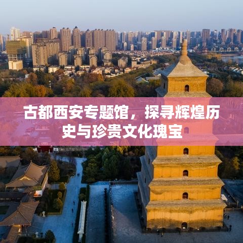 古都西安专题馆，探寻辉煌历史与珍贵文化瑰宝