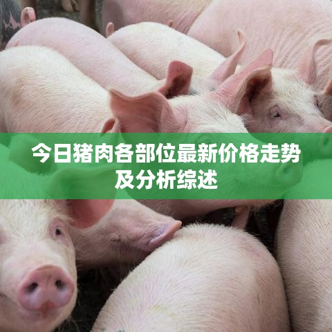 今日猪肉各部位最新价格走势及分析综述