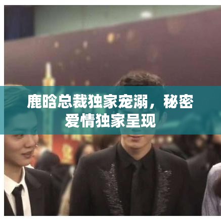 鹿晗总裁独家宠溺,秘密爱情独家呈现