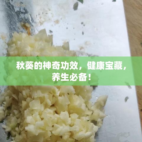 张皇无措 第3页