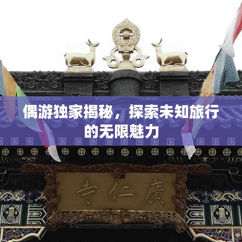 偶游独家揭秘，探索未知旅行的无限魅力