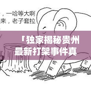 「独家揭秘贵州最新打架事件真相,视频全记录,社会关注不容忽视!」