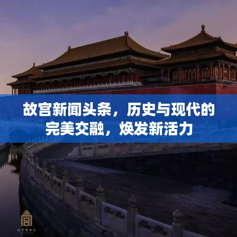 故宫新闻头条,历史与现代的完美交融,焕发新活力