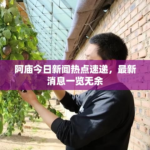 阿庙今日新闻热点速递,最新消息一览无余