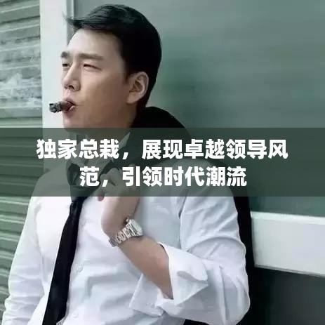 独家总栽,展现卓越领导风范,引领时代潮流