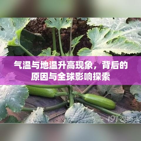 气温与地温升高现象,背后的原因与全球影响探索