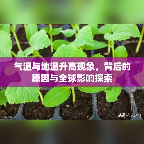 气温与地温升高现象,背后的原因与全球影响探索