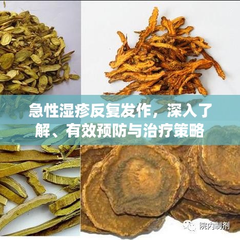 急性湿疹反复发作,深入了解、有效预防与治疗策略