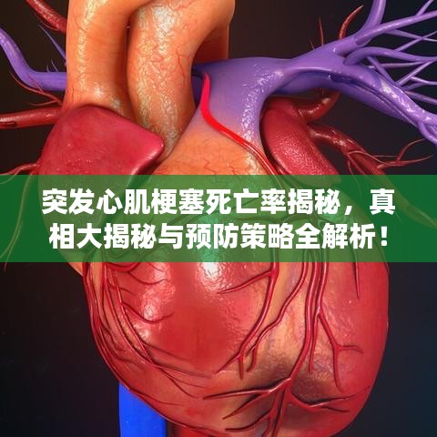 突发心肌梗塞死亡率揭秘，真相大揭秘与预防策略全解析！