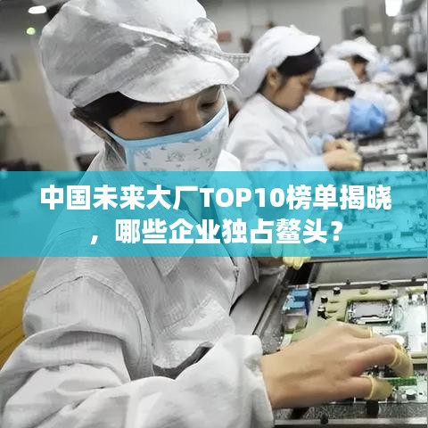 中国未来大厂TOP10榜单揭晓,哪些企业独占鳌头?