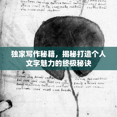 独家写作秘籍,揭秘打造个人文字魅力的终极秘诀