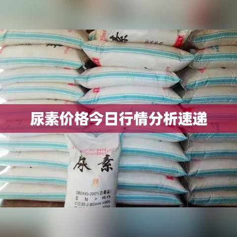 尿素价格今日行情分析速递