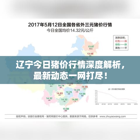辽宁今日猪价行情深度解析,最新动态一网打尽!