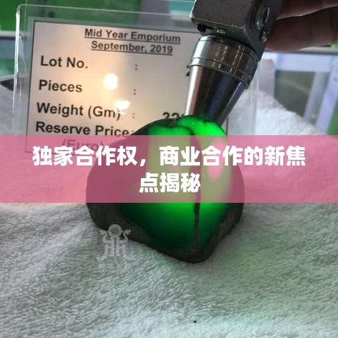 独家合作权,商业合作的新焦点揭秘