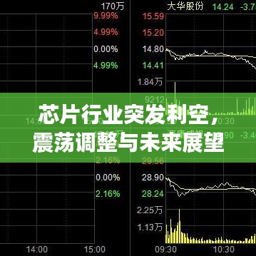 芯片行业突发利空，震荡调整与未来展望