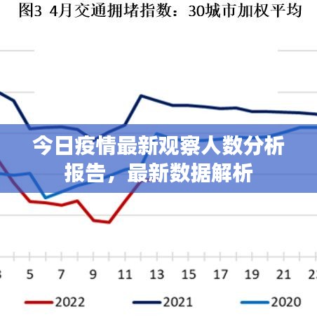 今日疫情最新观察人数分析报告,最新数据解析