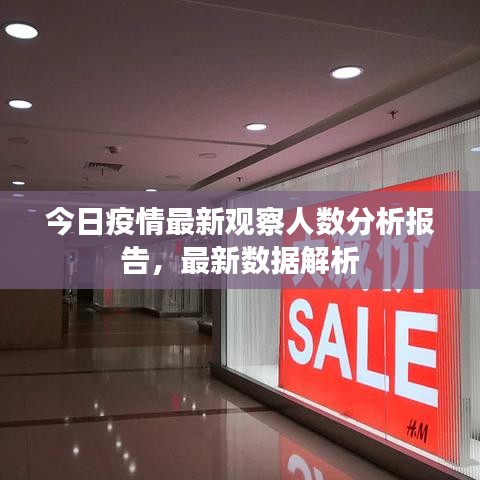 今日疫情最新观察人数分析报告,最新数据解析