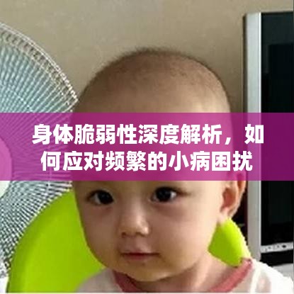 身体脆弱性深度解析,如何应对频繁的小病困扰?