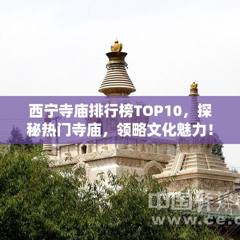 西宁寺庙排行榜TOP10，探秘热门寺庙，领略文化魅力！