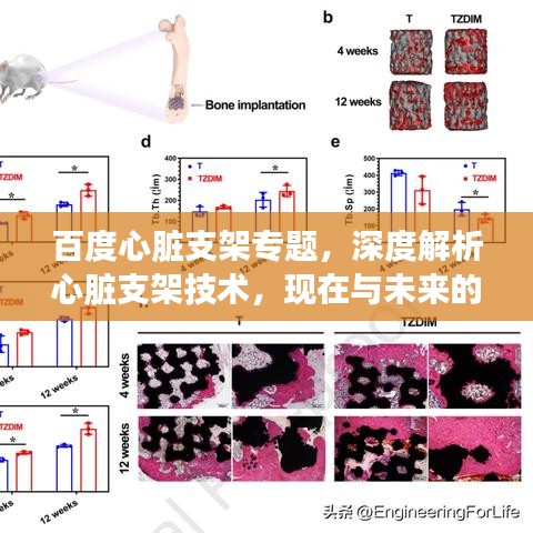 百度心脏支架专题,深度解析心脏支架技术,现在与未来的应用展望