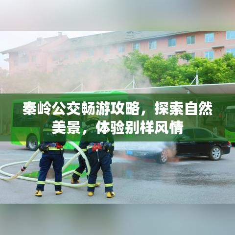 秦岭公交畅游攻略，探索自然美景，体验别样风情