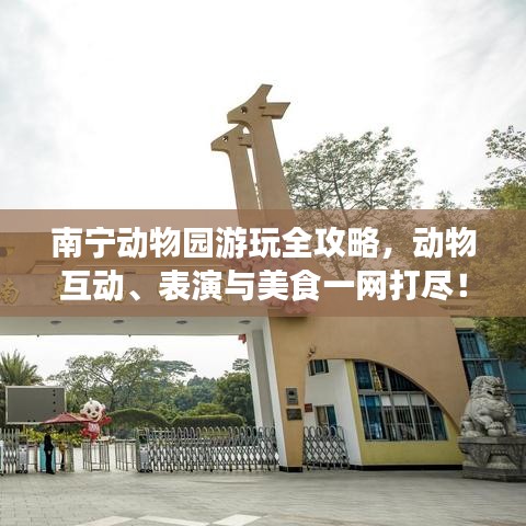 小家碧玉 第3页