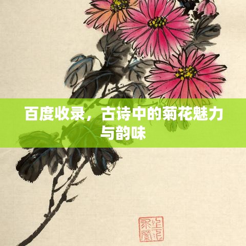 百度收录,古诗中的菊花魅力与韵味