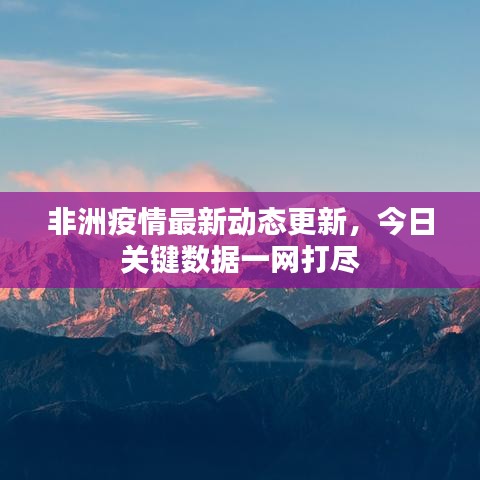 非洲疫情最新动态更新，今日关键数据一网打尽