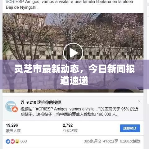 灵芝市最新动态,今日新闻报道速递