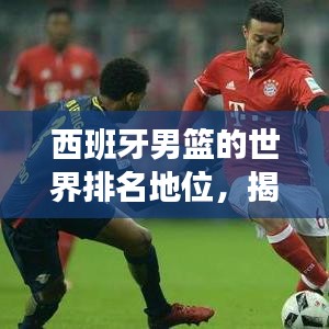 西班牙男篮的世界排名地位，揭秘其在国际篮坛的辉煌表现