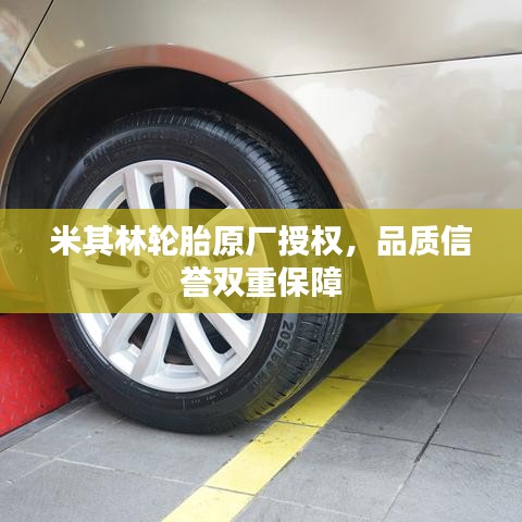 米其林轮胎原厂授权,品质信誉双重保障