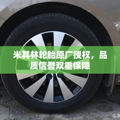 米其林轮胎原厂授权,品质信誉双重保障
